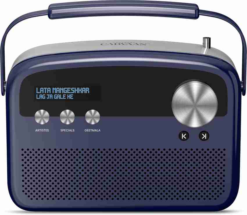 Saregama carvaan on flipkart sales