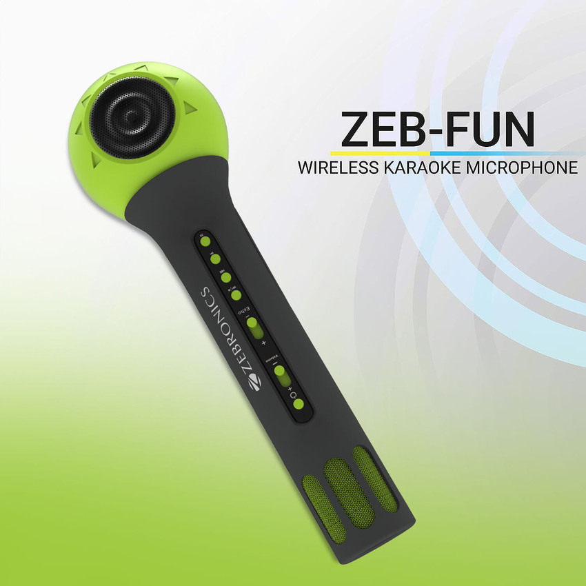 Zebronics karaoke best sale