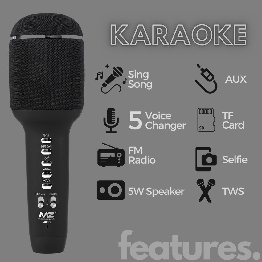 Mitashi on sale karaoke mic