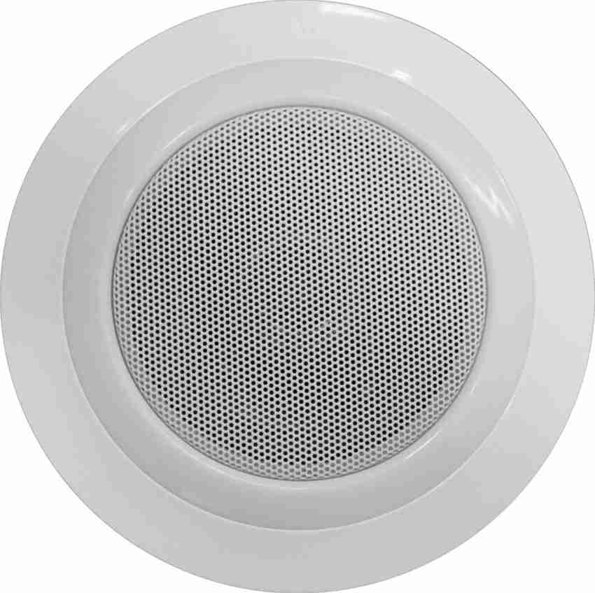 Concealed online ceiling speakers