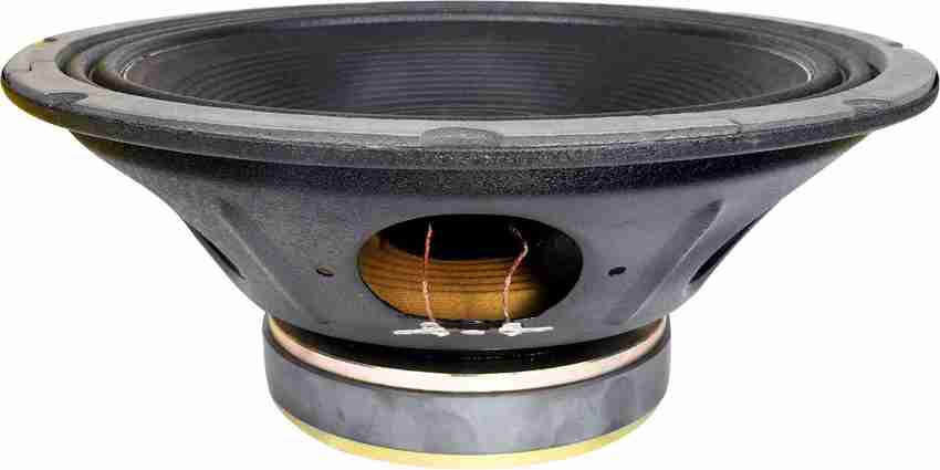 12 inch speaker 200 hot sale watt