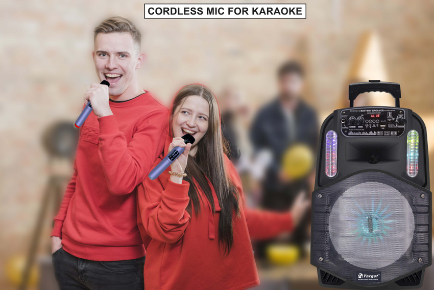 Target karaoke speaker clearance