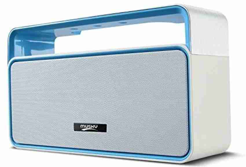 Musky mini hifi store speaker