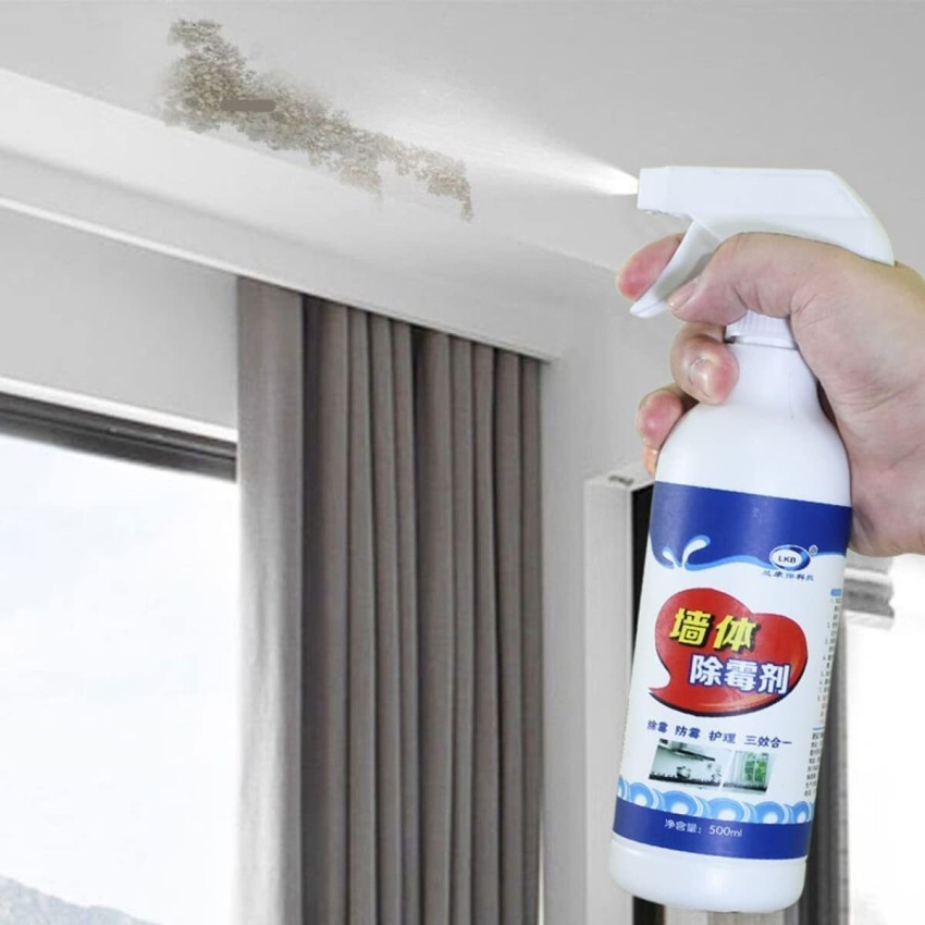Modinity Wall Mold Remover, Quickly Removed & Decomposed Mold Spray 1  Price in India - Buy Modinity Wall Mold Remover