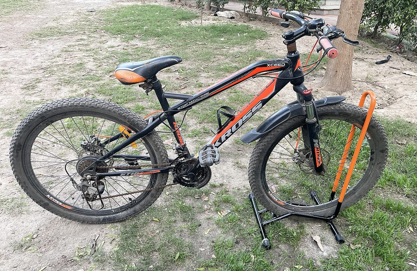Rose sales bike stand