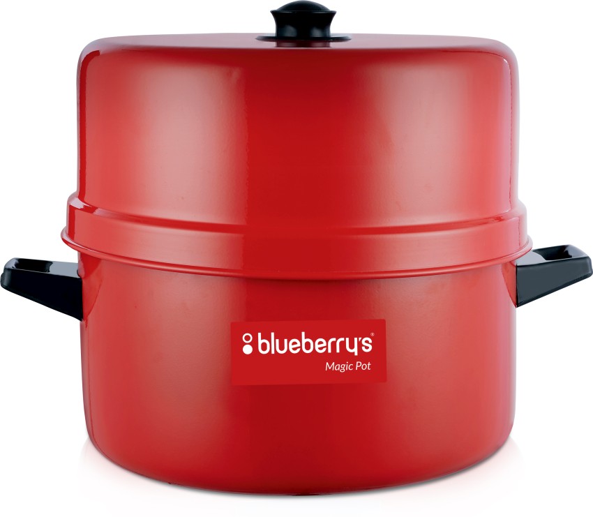 Buy Blueberry's 1.5 Kg Stainless Steel Thermal Rice Cooker Choodarapetty  with Stainless Steel Pot Online at Best Price – Blueberrys – blueberry's