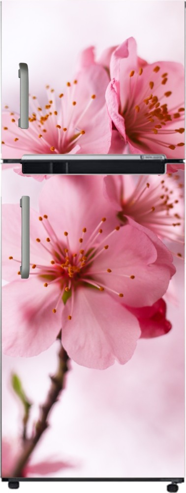 Pink Blossom Flowers Spring Ultra HD Desktop Background Wallpaper for 4K  UHD TV  Widescreen  UltraWide Desktop  Laptop  Multi Display Dual  Monitor  Tablet  Smartphone