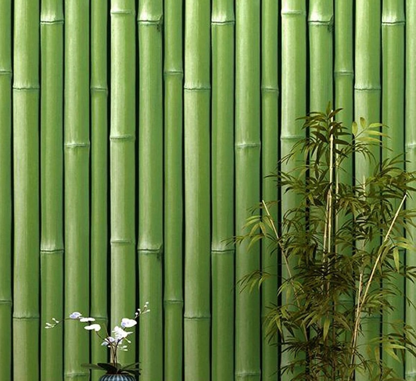 Flipkart SmartBuy 100 cm Green bamboo tree Wallpaper(100CM X45CM) Self  Adhesive Sticker Price in India - Buy Flipkart SmartBuy 100 cm Green bamboo  tree Wallpaper(100CM X45CM) Self Adhesive Sticker online at