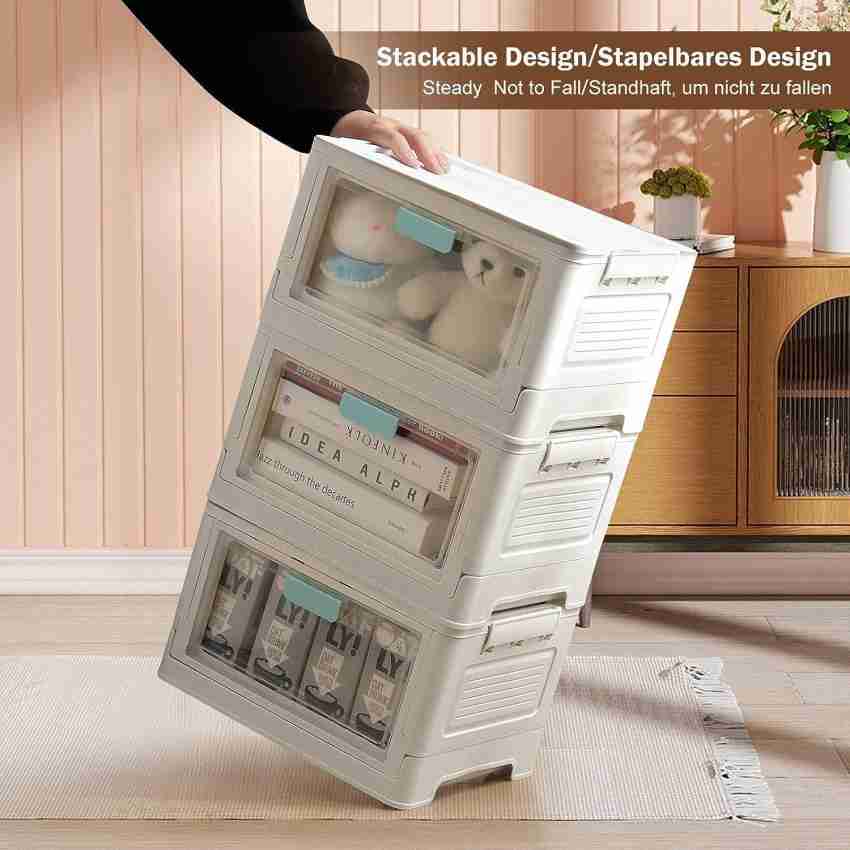 Clear Storage Bins  Professional Organizer Paradise Valley