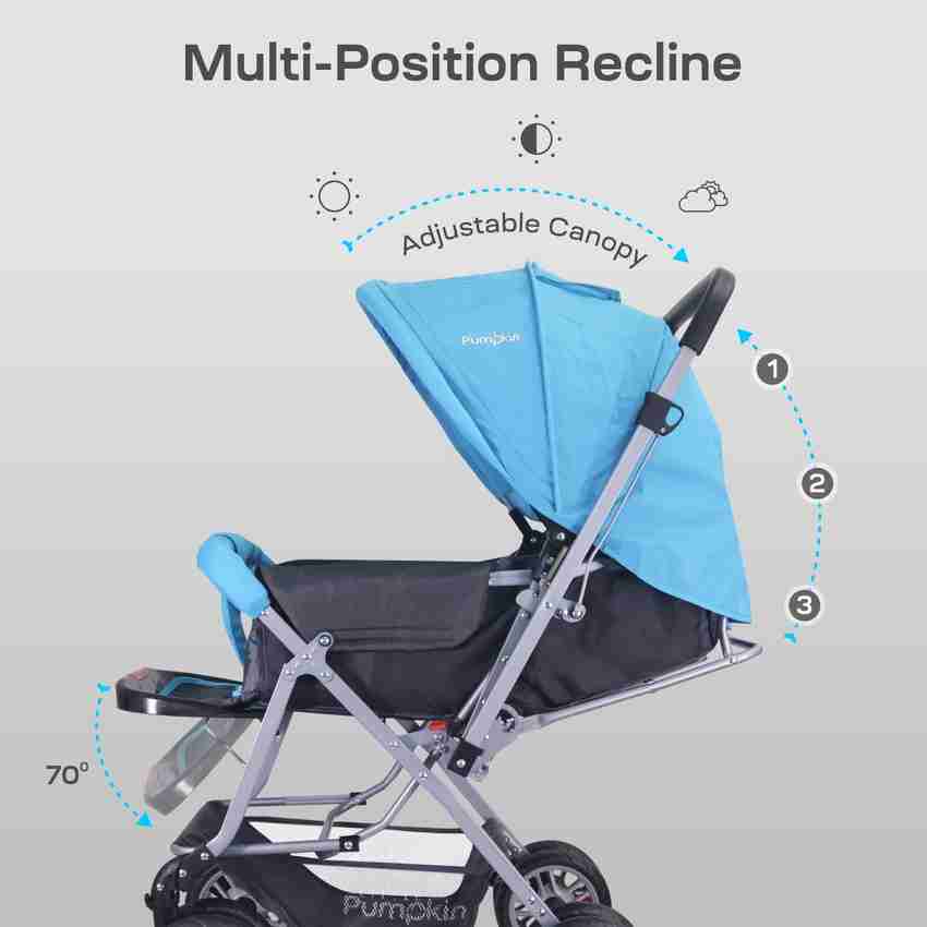 Baby clearance kingdom stroller