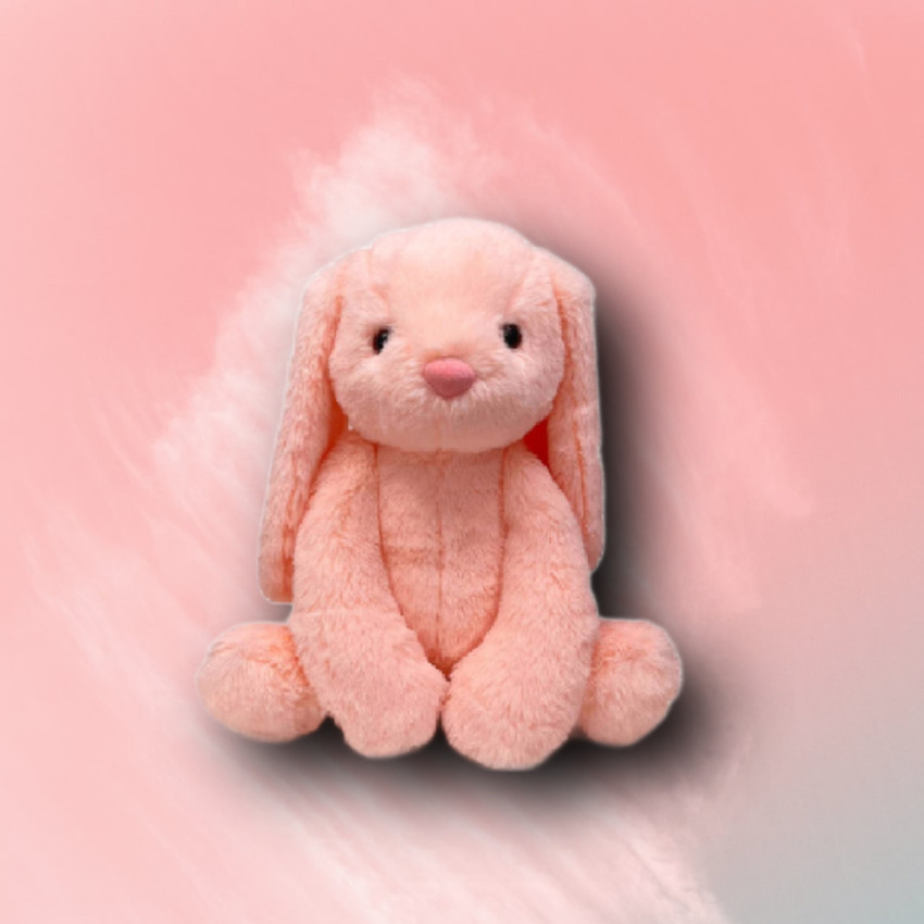 Pink online rabbit teddy