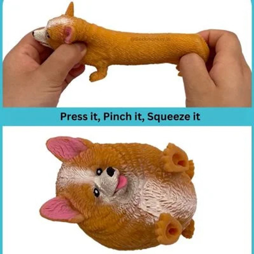Corgi hot store dog squishy