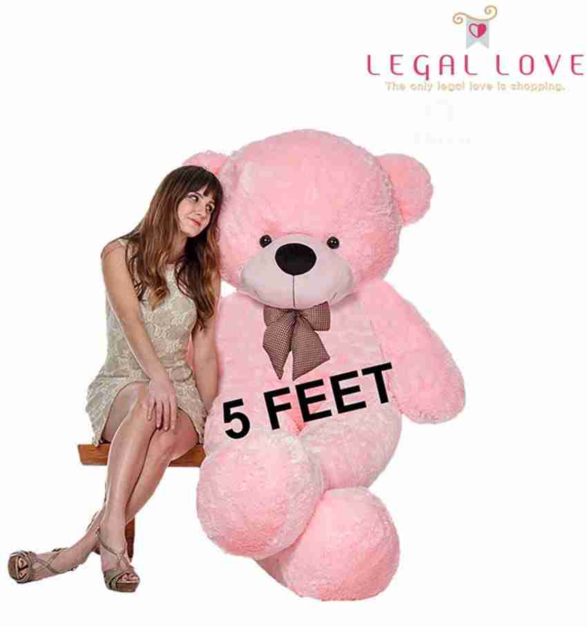 Teddy bear for girlfriend clearance birthday