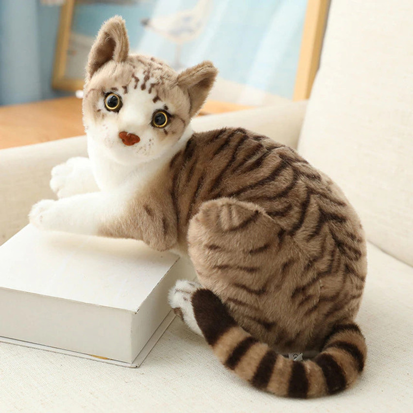 Real life stuffed cat new arrivals