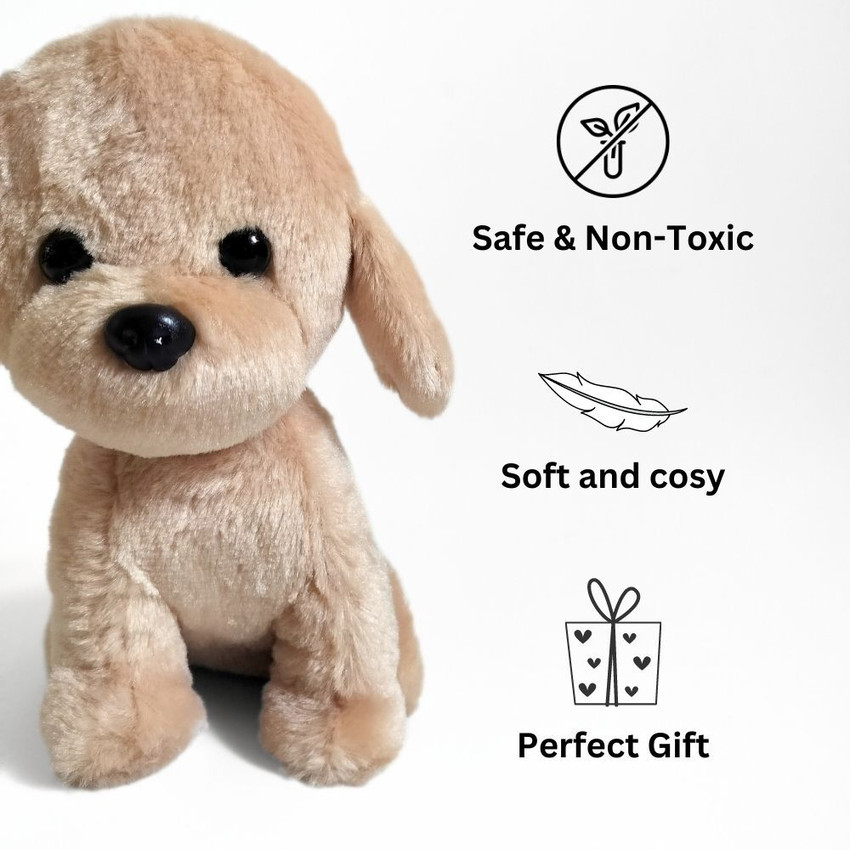 Fluffy store toy dog