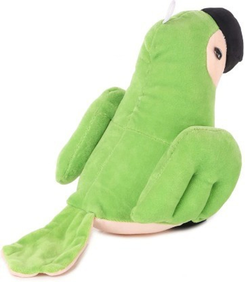 Parrot deals teddy bear