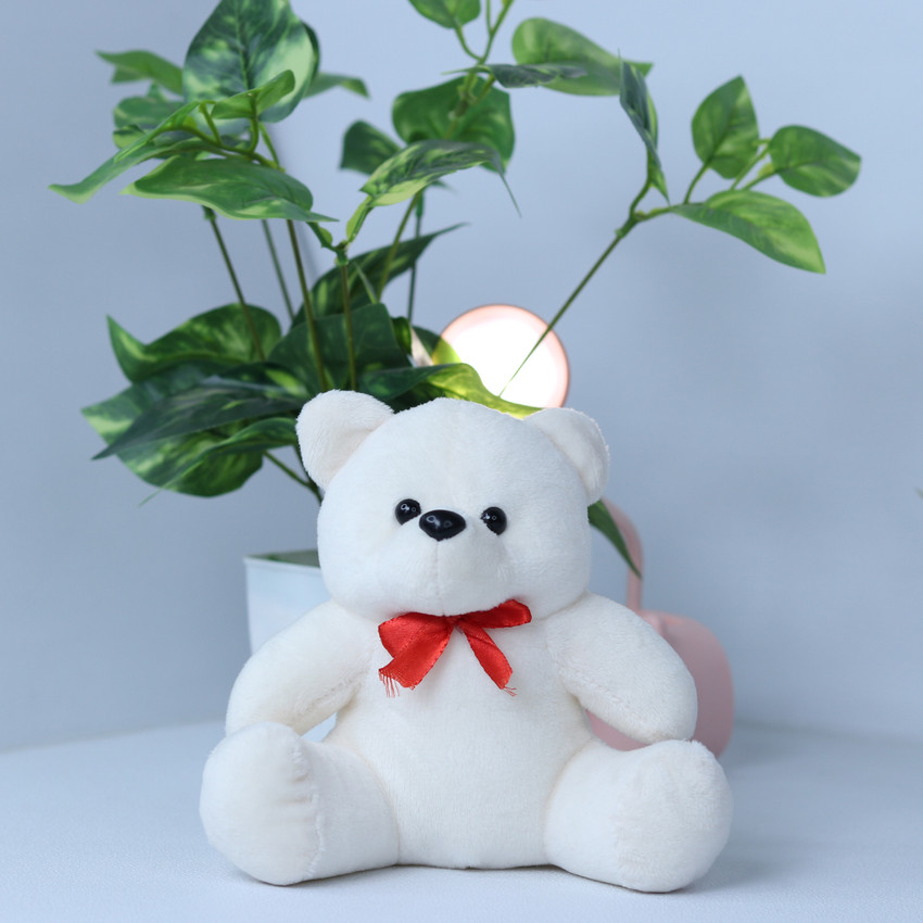 Small white teddy bear best sale