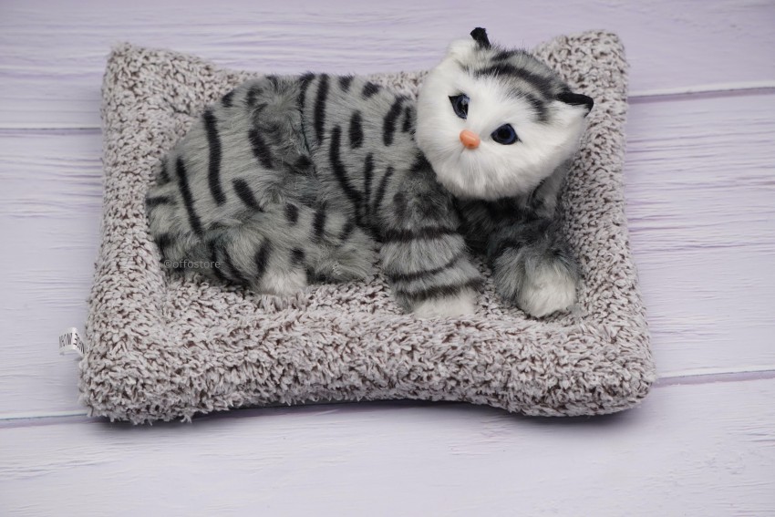 15 Cuddle Chunk Kitten in Cat Stuffed Animals