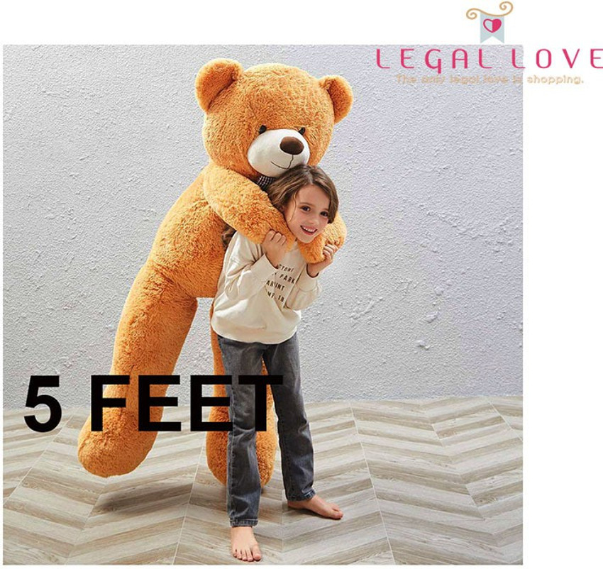 Teddy bear for girlfriend clearance