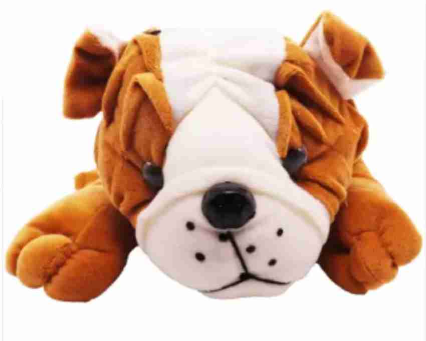 Fluffy hot sale dog teddy