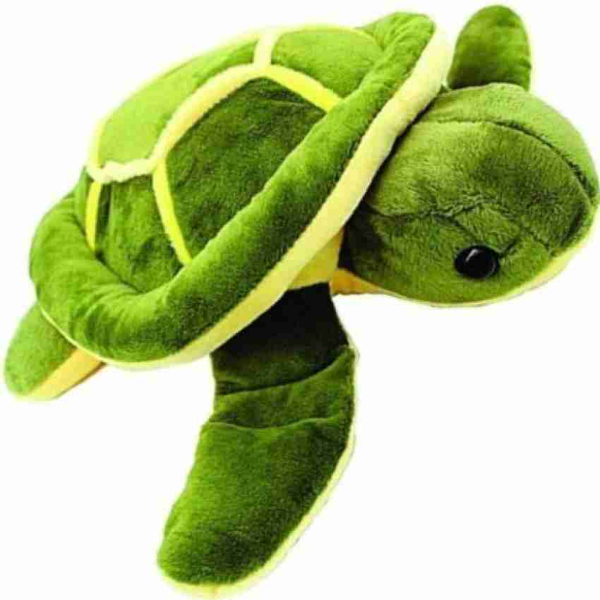 Tortoise deals teddy bear