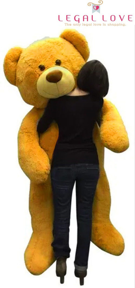 6 feet shop teddy bear price