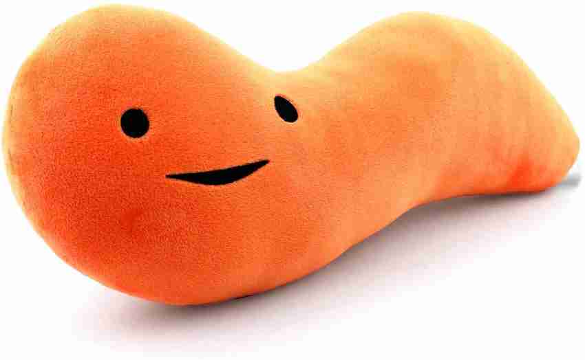 Organ best sale plush toys
