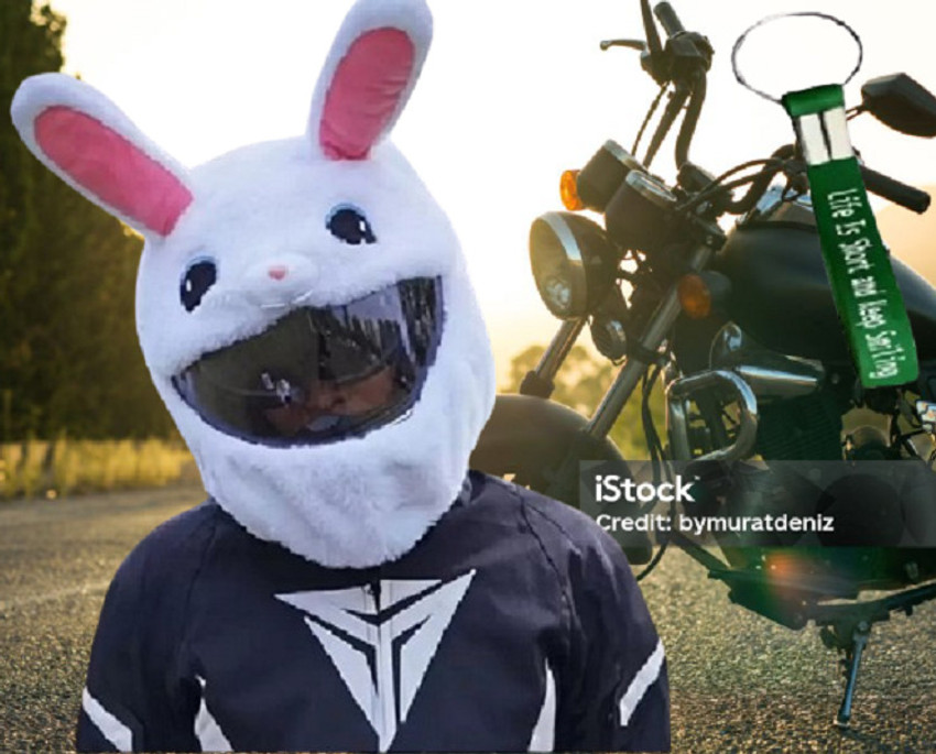 Bunny ears motorcycle helmet online