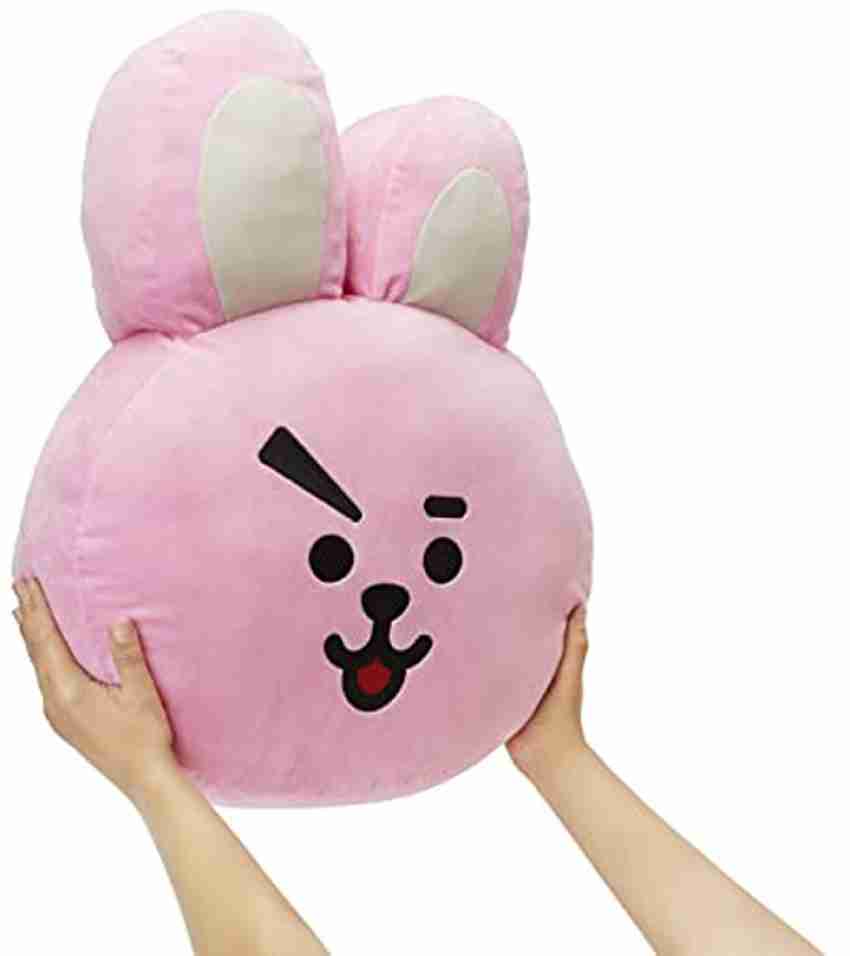 Fusked Shooky & Van Plush Throw Pillow, Animal Stuffed Toys Throw  Pillow,Compatible for BTS BT21 Character Shooky & Van, Pack of 2 and BTS  Cartoon