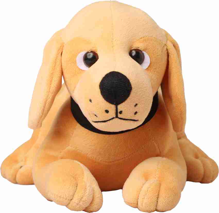 Stuffed teddy shop bear dog toy