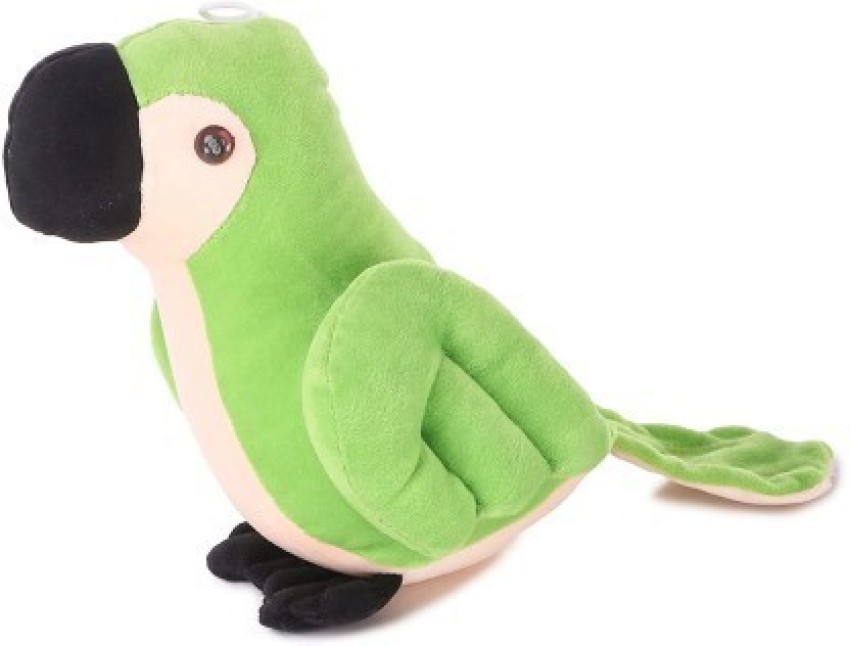 parrot teddy