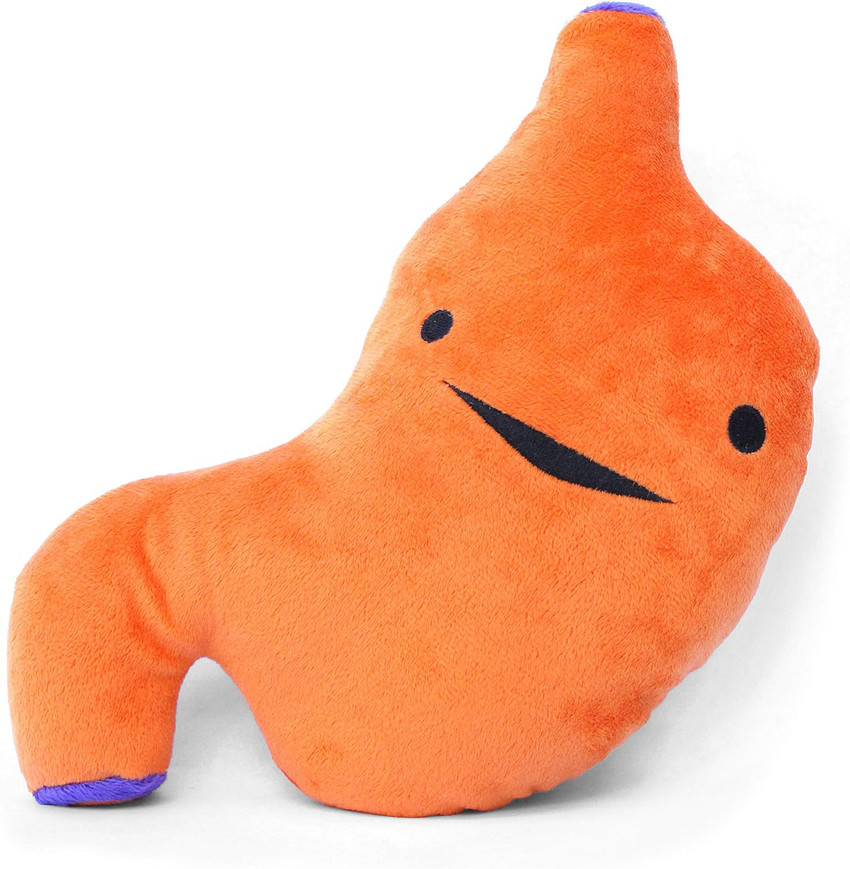 Organ stuffed animals outlet