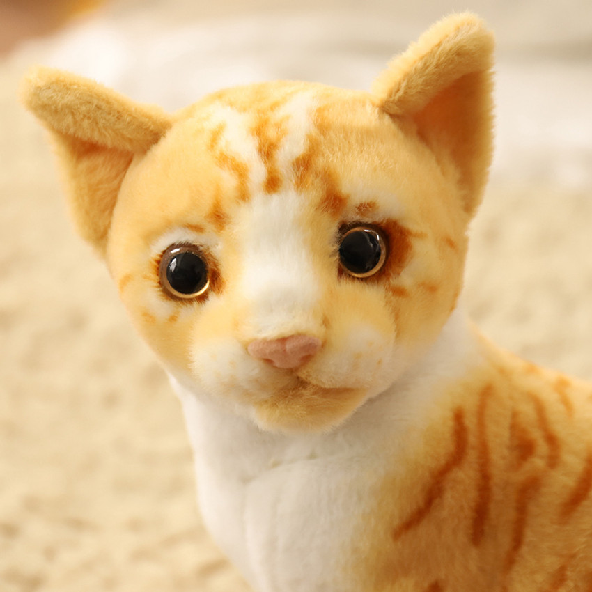 Real life hotsell kitten toy