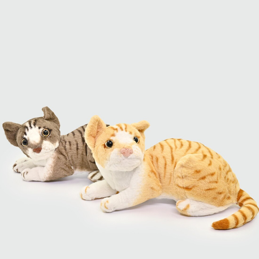 Big cat toys for sale outlet