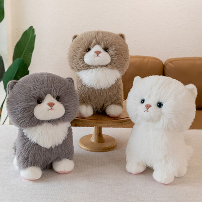 Cat teddy bear gift cheap
