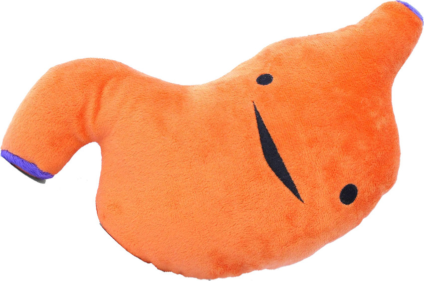 Organ plush dolls shop