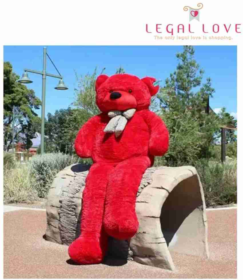 Cute teddy on sale online shopping