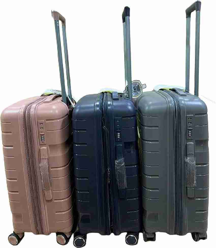 American rider trolley bag price online