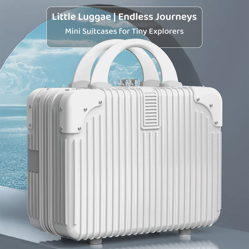 Small bag luggage top