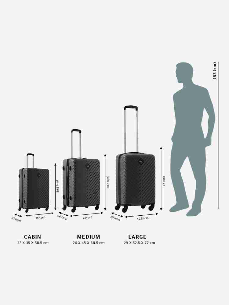 Wildcraft Citron Cabin & Check-in Set 4 Wheels - 27 Inch Grey