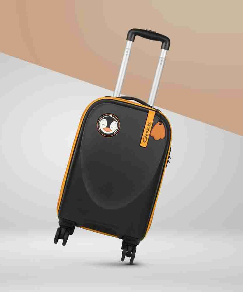 Flipkart Sale Trolley Bags Sale Online