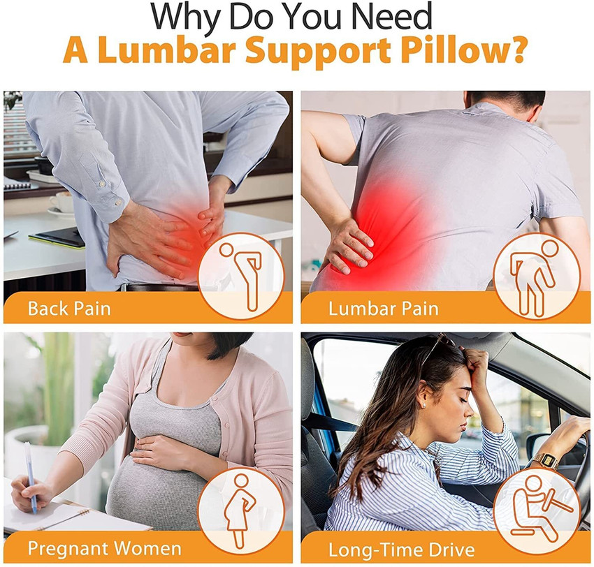 Orthowala backrest 2025