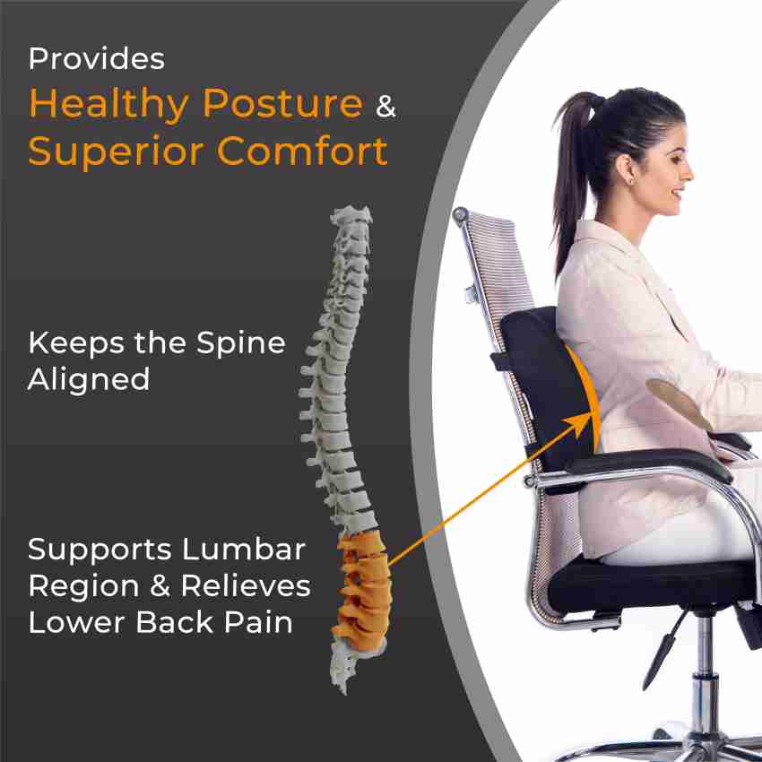 Careforce Back Support for Chair & Car Seat Back Support Chair Back Support for Back Pain Back Rest for Chair Office Lumbar Support for Car Back Rest