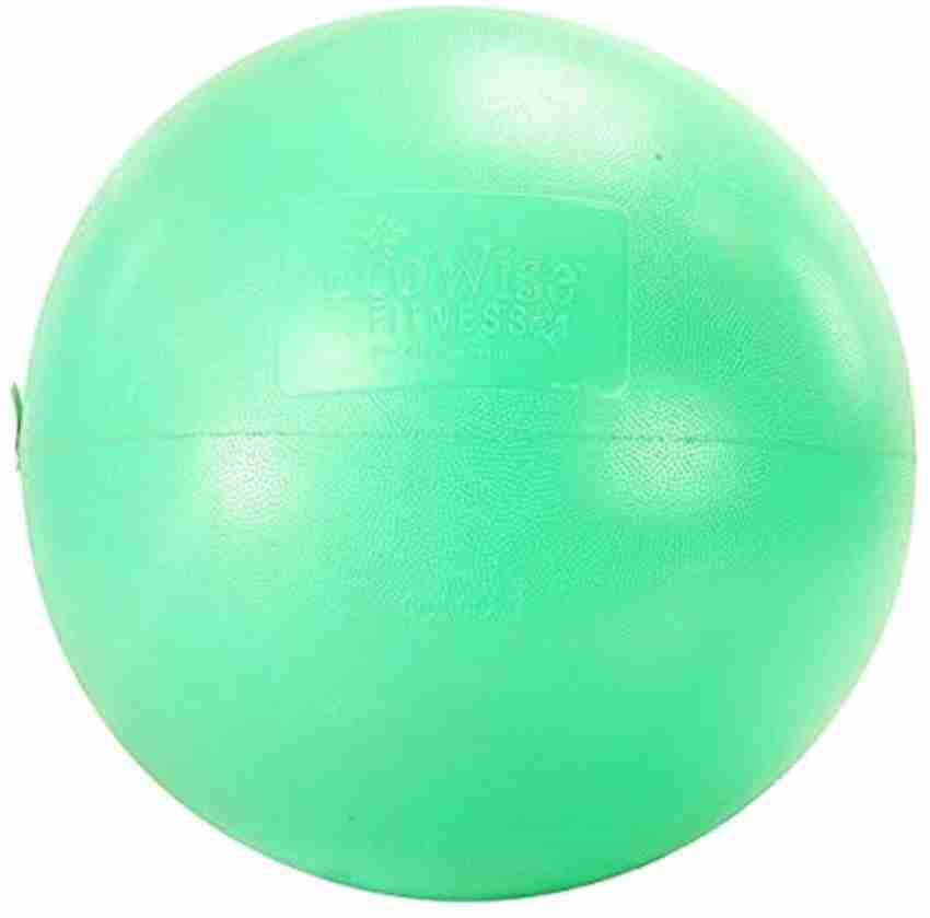 Ecowise sales exercise ball