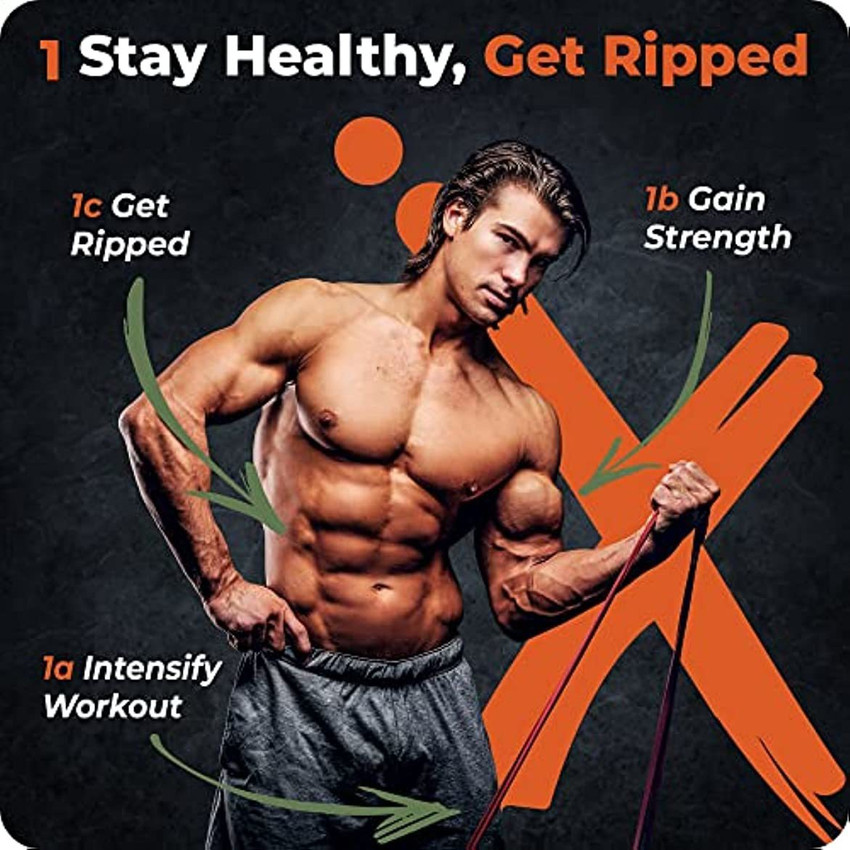 Fx Ffexs Assisted Pull Up Bands Set Pack Of 3 Heavy Duty Resistance Bands Set Back Lumbar Support Buy Fx Ffexs Assisted Pull Up Bands Set Pack Of 3 Heavy