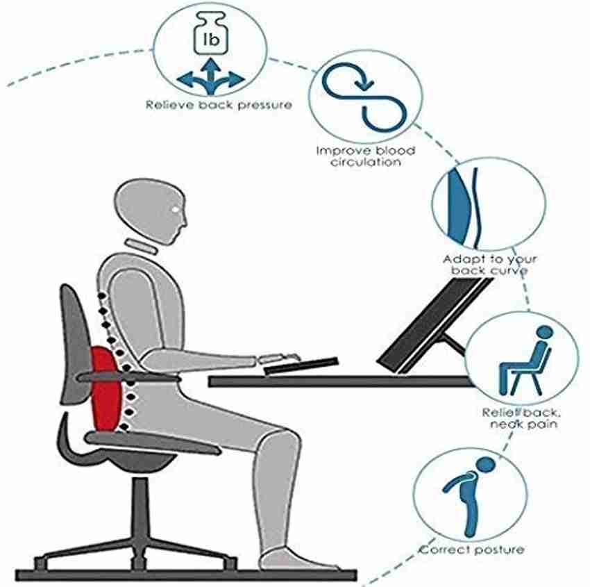 Orthowala best sale lumbar support