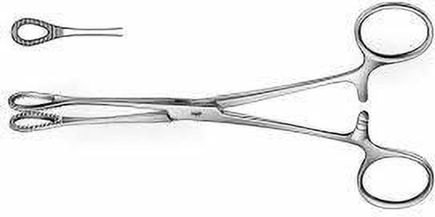 HIT CLASSIC Sponge Holding Forceps Sponge Holder 8 Inch Deluxe