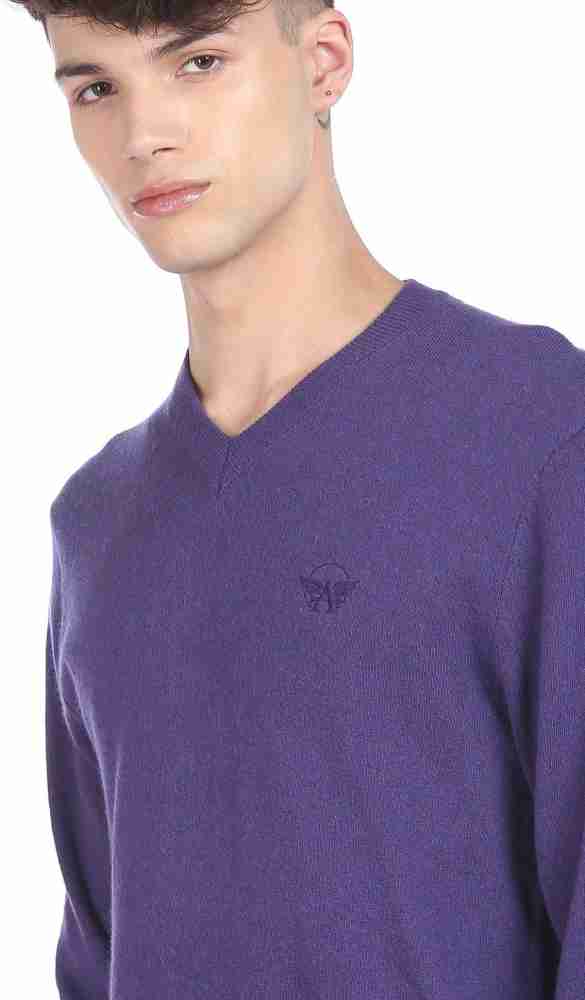 Men's purple outlet v neck sweater