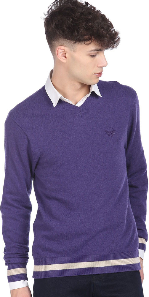 ARROW Solid V Neck Casual Men Purple Sweater Buy ARROW Solid V