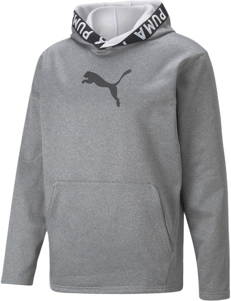 Mens grey hotsell puma hoodie